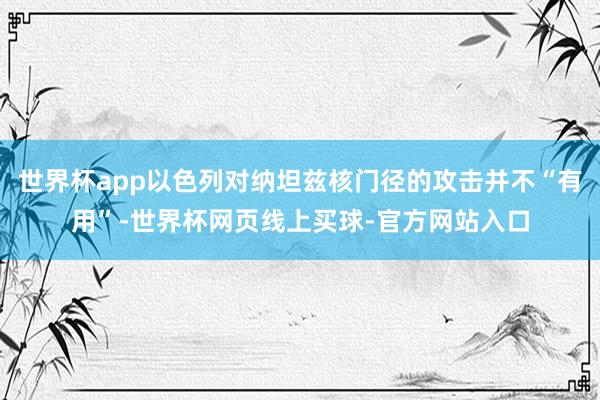 世界杯app以色列对纳坦兹核门径的攻击并不“有用”-世界杯网页线上买球-官方网站入口