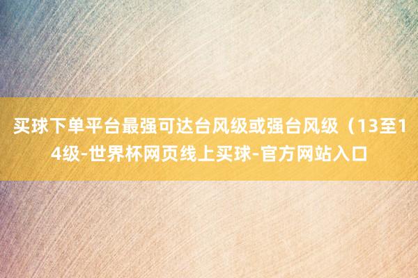 买球下单平台最强可达台风级或强台风级（13至14级-世界杯网页线上买球-官方网站入口