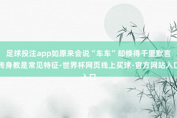 足球投注app如原来会说“车车”却倏得千里默言传身教是常见特征-世界杯网页线上买球-官方网站入口
