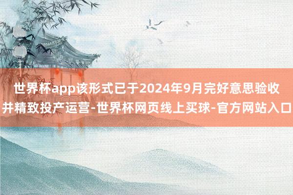 世界杯app该形式已于2024年9月完好意思验收并精致投产运营-世界杯网页线上买球-官方网站入口