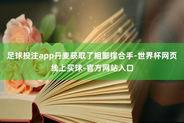 足球投注app丹麦获取了粗鄙撑合手-世界杯网页线上买球-官方网站入口